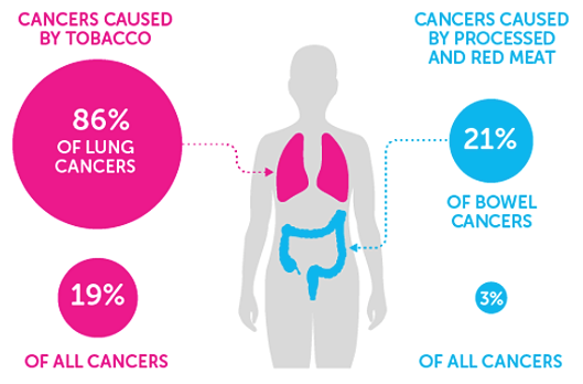 A section of the ‘Tobacco vs Meat: What’s the Risk?’ infographic from Cancer Research UK