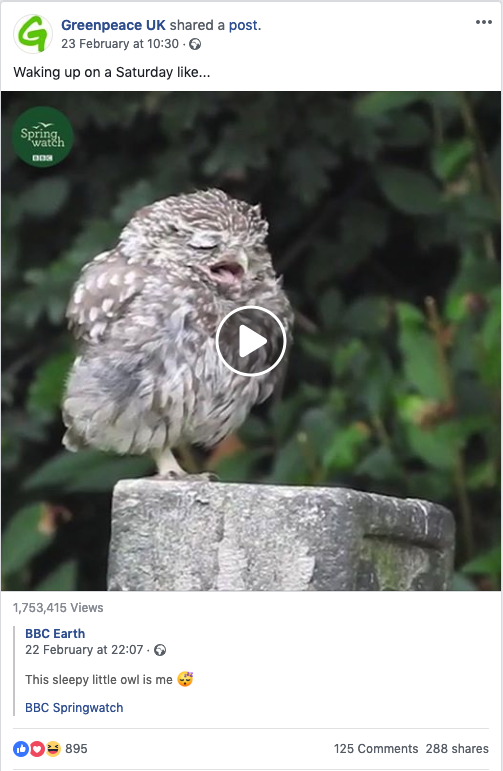 Greenpeace UK: Facebook post of an owl