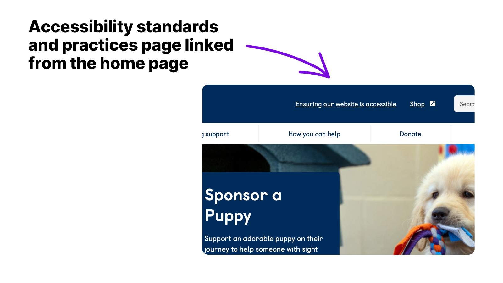 Example image of an accessibility standards page linked from the Guide Dogs website home page. This image shows a screenshot of the Guide Dogs website home page, with a clickable link in the header that reads, "Ensuring our website is accessible."