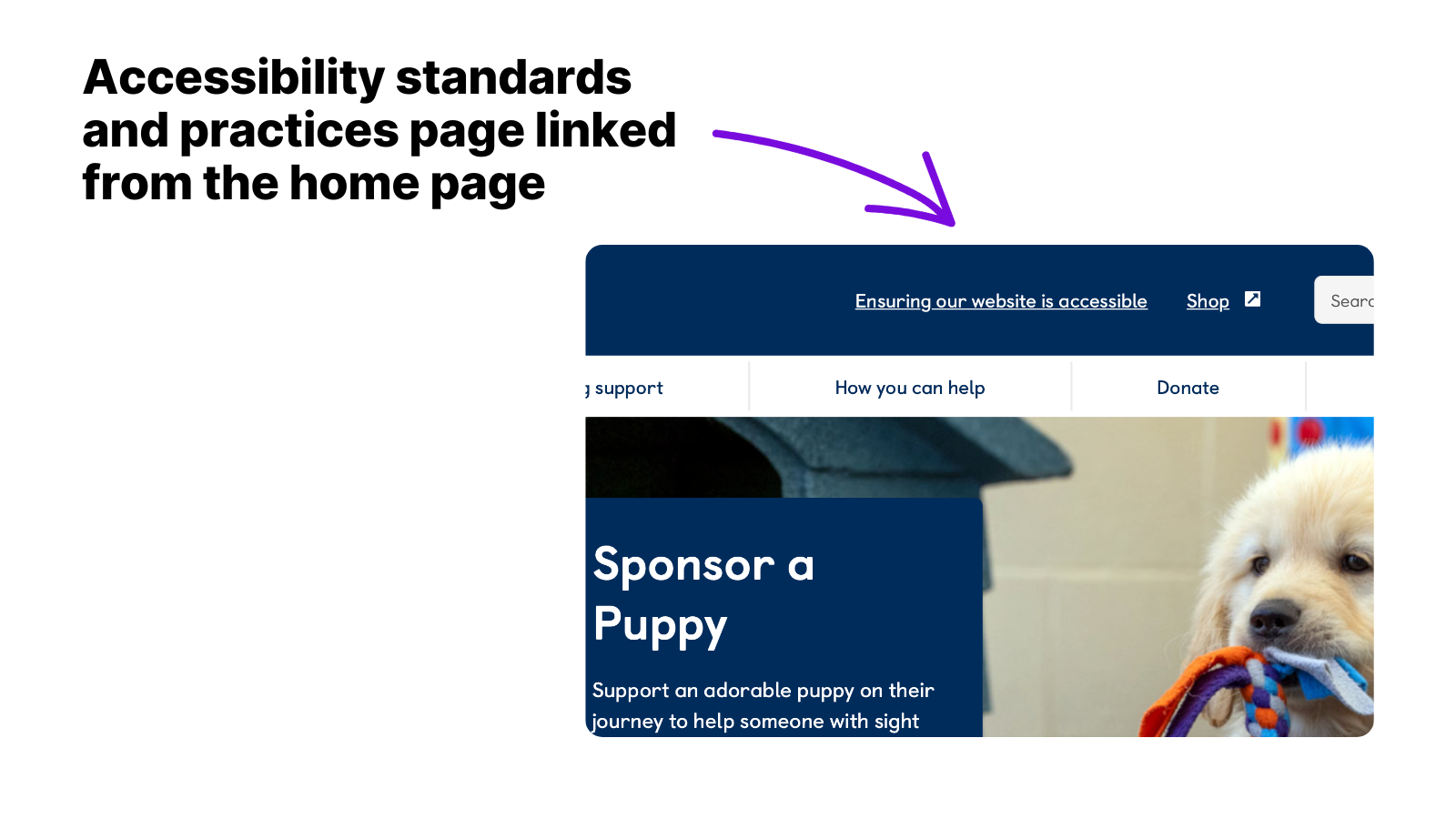 Exemplo de imagem de uma página de padrões de acessibilidade vinculada à página inicial do site Guide Dogs.  Esta imagem mostra uma captura de tela da página inicial do site Guide Dogs, com um link clicável no cabeçalho que diz: "Garantir que nosso site seja acessível."