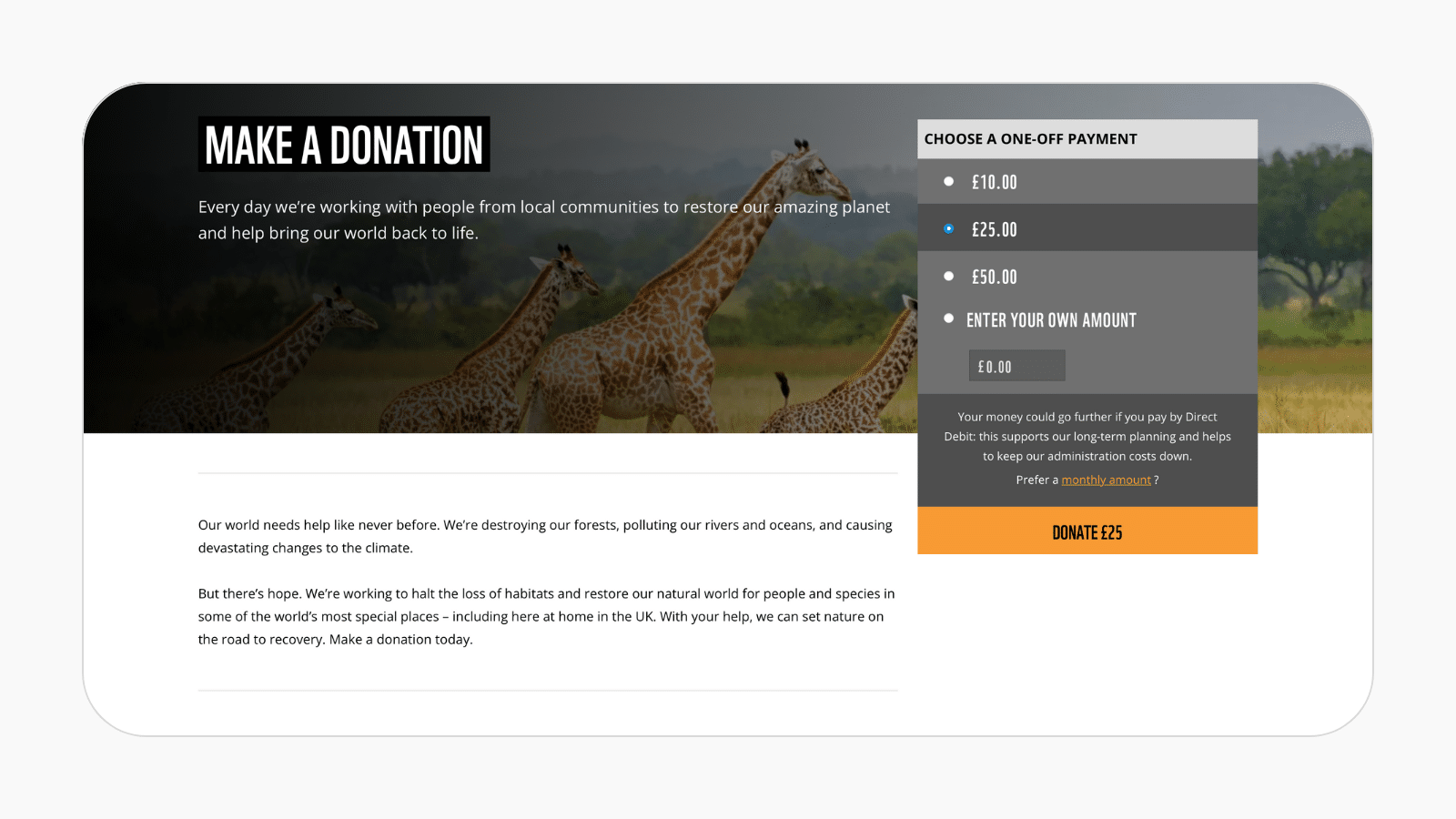 Screen shot of WWF's Make a Donation page, featuring simple language explaining the charity's cause and mission.